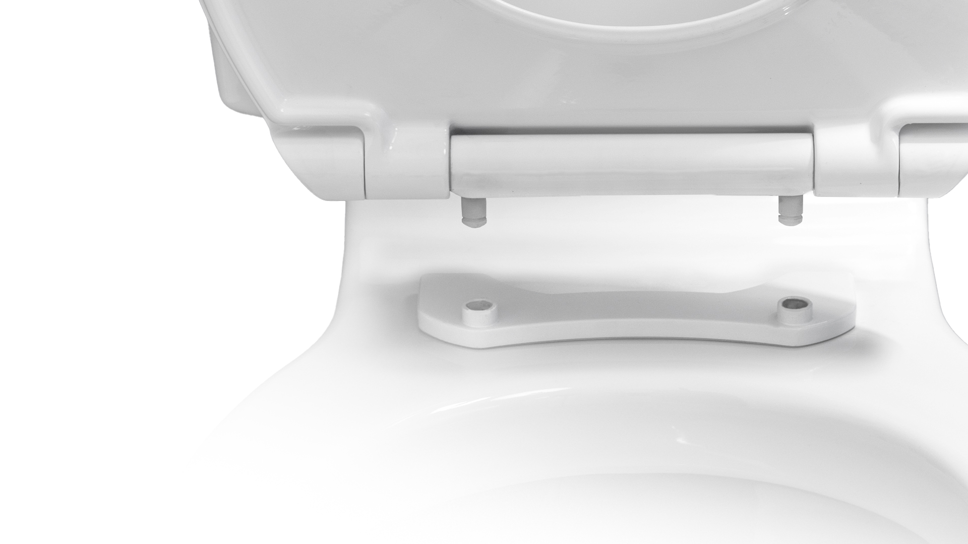 Image of removable toilet seat