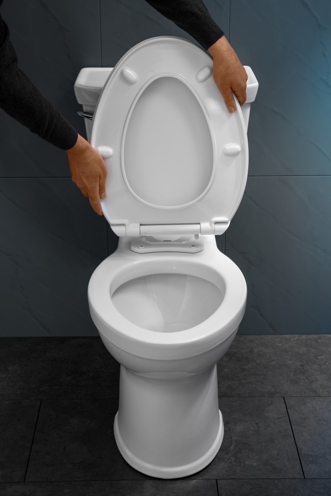 16 WC Seat Toilet Lid scallops with automatic closing and removable 