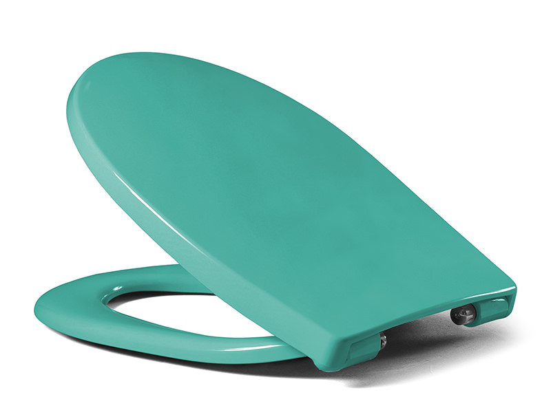 A toilet seat made of plastic in soft green provides a visual highlight in the home bathroom.