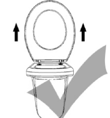 Only remove toilet seats with the TakeOff® feature vertically. Image of the correct way to operate the TakeOff® feature.
